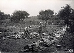 "Identification of corpses: French on the left, Boche on the right. Reims July 1918" 
 
by drakegoodman