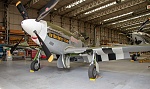 P51D Mustang (1)