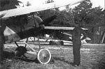 Click image for larger version. 

Name:	Fokker D.VII Sachsenberg.jpg 
Views:	23 
Size:	114.2 KB 
ID:	259921