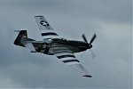 P-51 11.jpg