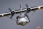 Click image for larger version. 

Name:	a catalina close up.jpg 
Views:	42 
Size:	79.4 KB 
ID:	264447