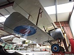 Sopwith Pup Repro (2)