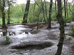 craters and trenches