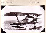 Albatros D11