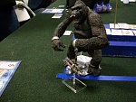 Kong Playtest 23