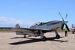 Click image for larger version. 

Name:	Mustang 3.jpg 
Views:	40 
Size:	107.0 KB 
ID:	210047