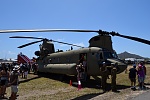 Click image for larger version. 

Name:	Chinook 1.jpg 
Views:	26 
Size:	128.9 KB 
ID:	210310