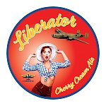 Click image for larger version. 

Name:	liberator_sticker.jpg 
Views:	73 
Size:	164.4 KB 
ID:	262054