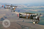 Click image for larger version. 

Name:	WW1 Strutter & Nieuport.jpg 
Views:	44 
Size:	128.8 KB 
ID:	161106