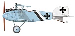 Albatros D.III Profiles