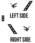 Jasta 18; Ltn Kandt's aircraft markings. 
 
The diagonal  stripe may need some scaling before applying it.