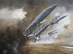 Click image for larger version. 

Name:	WW1 JunkersJ1 straffing.jpg 
Views:	152 
Size:	144.3 KB 
ID:	15315