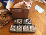 Series 7 Minis 
 
Yukiko (one of my Devon Rex cats) more interested in the box.