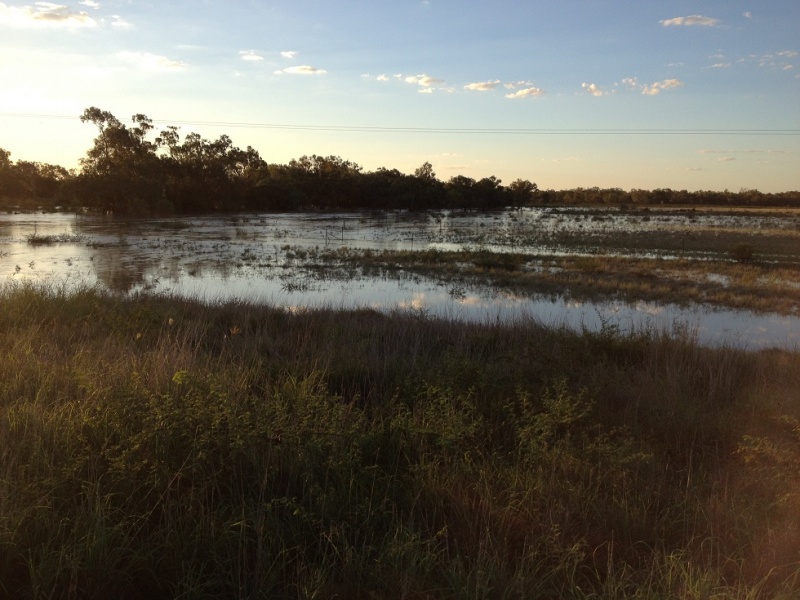 Name:  Flooded paddocks.jpg
Views: 377
Size:  164.9 KB