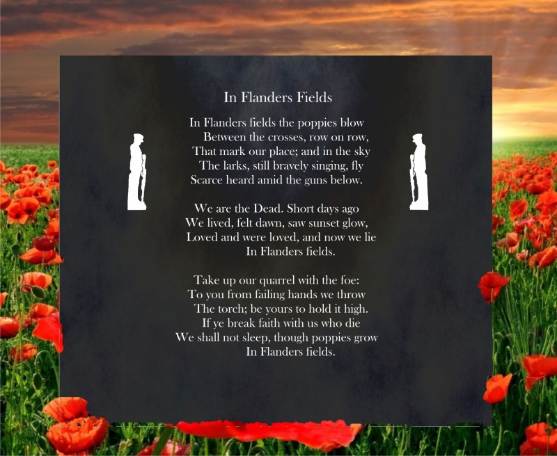 Name:  flanders_fields_2.jpg
Views: 925
Size:  170.4 KB