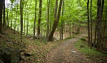 FDR farm lane connecting Springwood with Valkill and Top Cottage