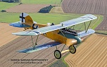 Click image for larger version. 

Name:	WW1 Albatross D.V D Harbar.jpg 
Views:	22 
Size:	162.6 KB 
ID:	239496