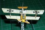 Pfalz dIII 02