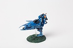 Eldar 2563