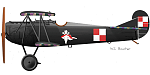 Fokker DVII Eskadra Mysliwska
