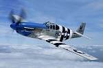 WW2 Mustang eagle Sqd