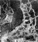 Aerial view Loos Hulluch trench system July1917