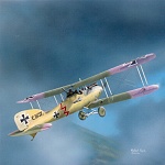 WW1 albatross C X11