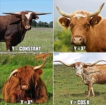 Click image for larger version. 

Name:	Cowgebra.jpg 
Views:	135 
Size:	237.5 KB 
ID:	257537