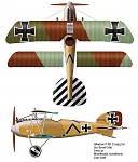 Ernst Udet's Albatros D.III 
Jasta 37 (Jun 1917)