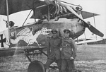 Albatros C.III 766/16 of Ltns. Bhme and Lademacher, featuring "Dragodile" nose art.