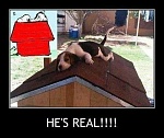 Click image for larger version. 

Name:	snoopy.jpg 
Views:	48 
Size:	29.0 KB 
ID:	203090