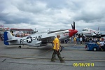 P-51  The Rebel