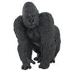 Click image for larger version. 

Name:	toy gorilla.jpg 
Views:	49 
Size:	14.6 KB 
ID:	108400