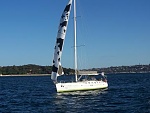 Click image for larger version. 

Name:	p309195-Sydney-Cow_Ship.jpg 
Views:	363 
Size:	21.6 KB 
ID:	67955