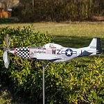 Click image for larger version. 

Name:	P-51D-Mustang-XL_01.jpg 
Views:	29 
Size:	130.0 KB 
ID:	315782