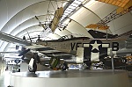 P51 1