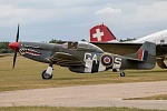 P51D Mustang (2)