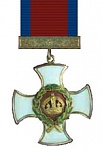 Distinguished Service Order [DSO] 
2nd highest British decoration for meritorious/distinguished service by officers