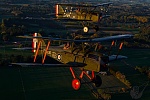 Click image for larger version. 

Name:	a dramatic shot of SE 5a's Hood Aerodrome.jpg 
Views:	49 
Size:	133.9 KB 
ID:	264907