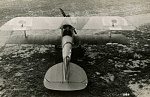 Albatros DV (2)