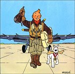 TINTIN, HERG and WW2 Airplanes