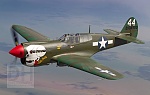 Click image for larger version. 

Name:	WW2 P-40.jpg 
Views:	21 
Size:	84.1 KB 
ID:	205746