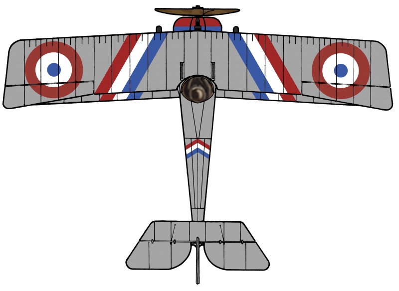 Name:  nieuport-17_TriClr.jpg
Views: 1300
Size:  77.5 KB