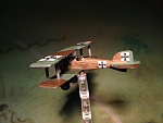 Click image for larger version. 

Name:	Albatros D.II 3.jpg 
Views:	565 
Size:	96.8 KB 
ID:	92088