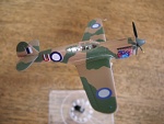 F Toys P40 (4)