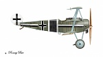 Fokker DR.I Profiles