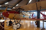 Albatros DVa (1)