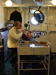 Dentist, HMS Belfast, London