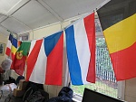 Flags 1