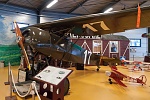 Fokker DVIII (3)